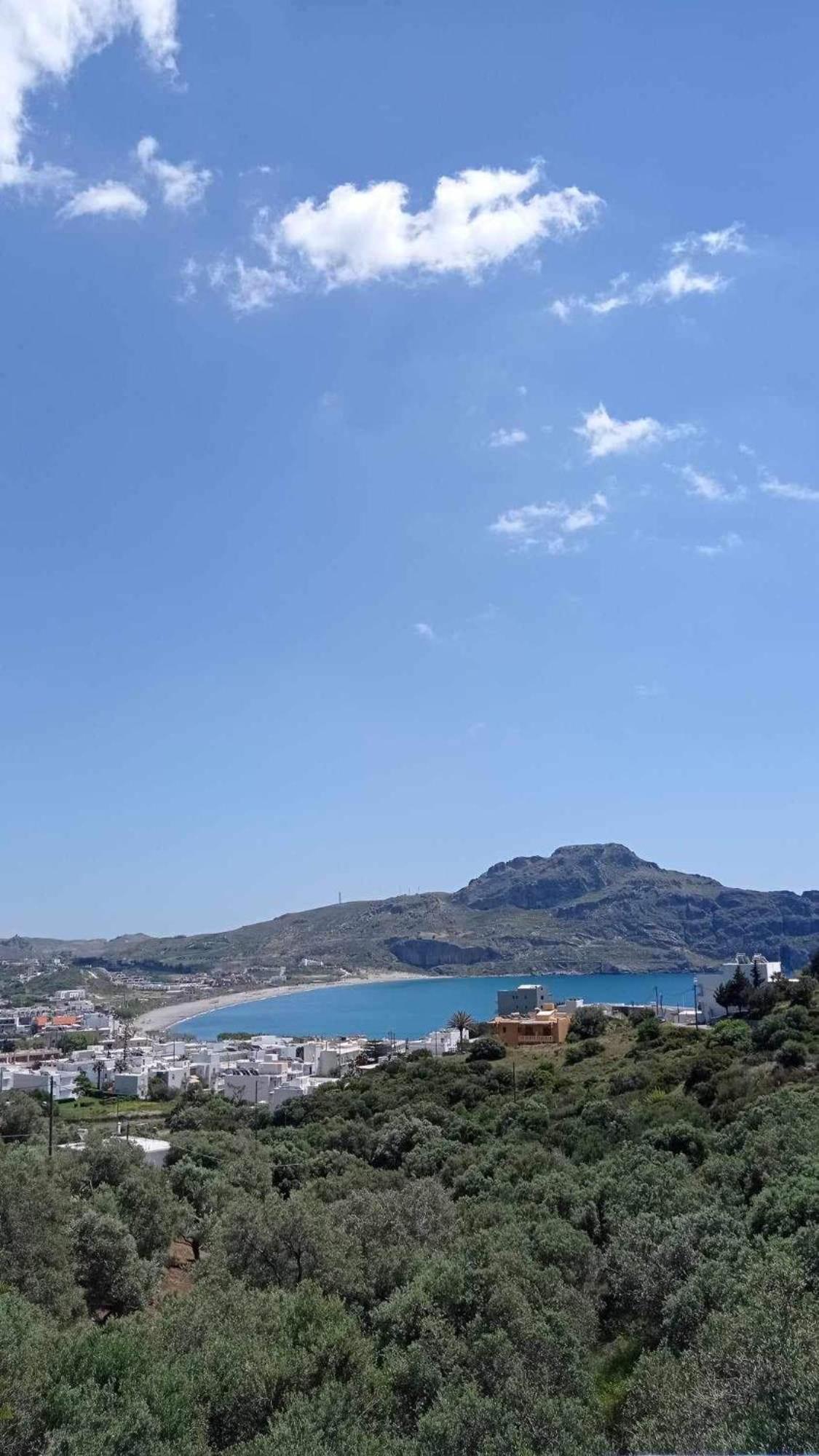 Olive Grove Apartment Plakias Ngoại thất bức ảnh
