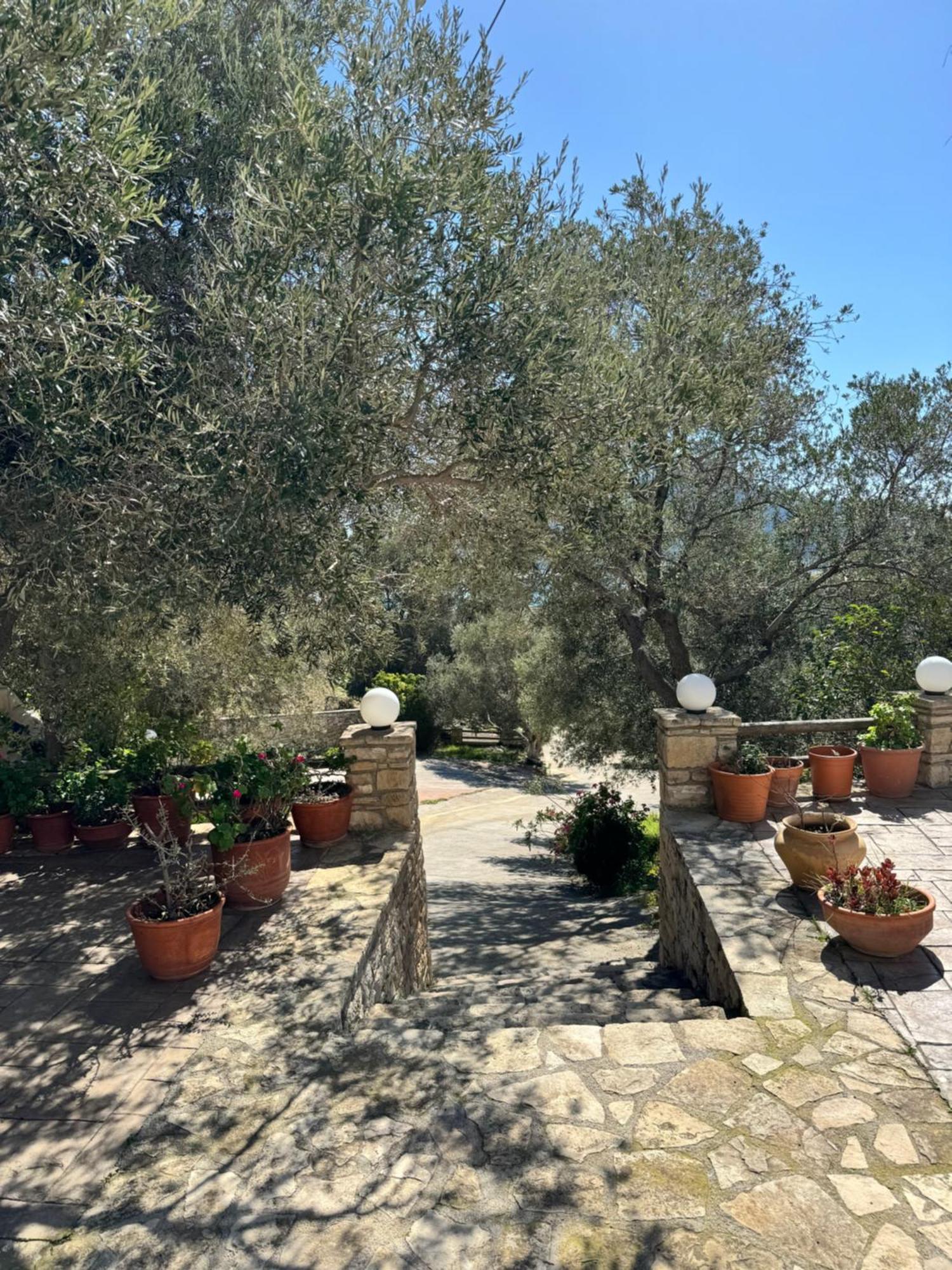 Olive Grove Apartment Plakias Ngoại thất bức ảnh