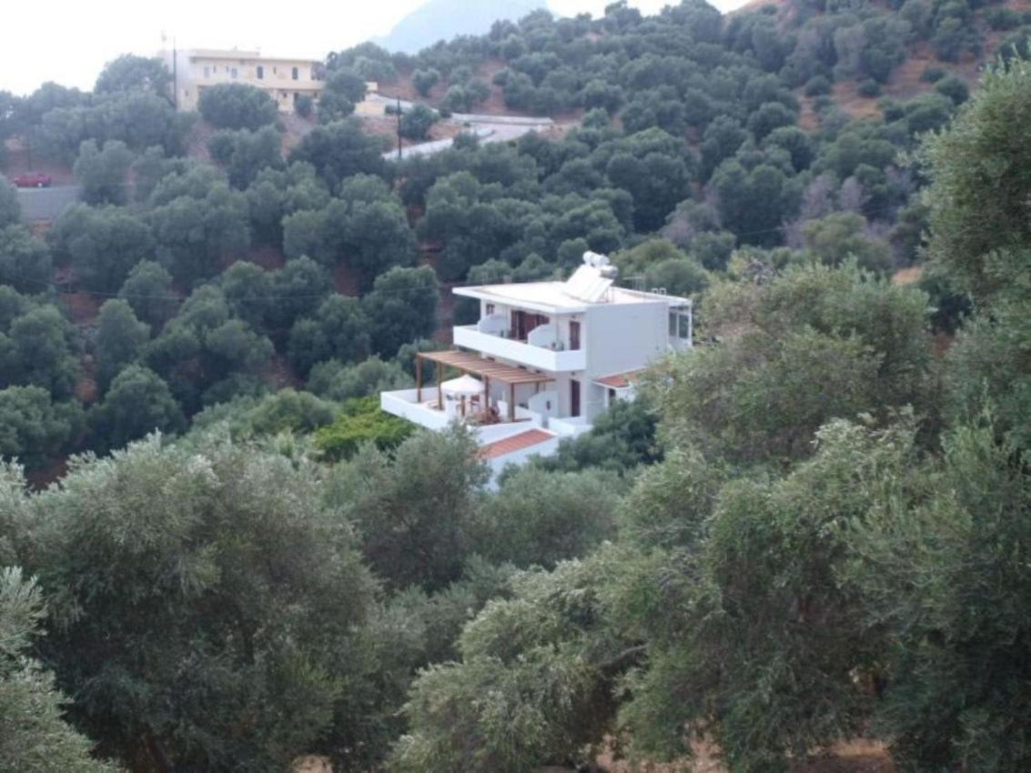 Olive Grove Apartment Plakias Ngoại thất bức ảnh